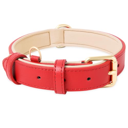 HEELE Hundehalsband, Hundehalsband Leder Hundehalsband mit gepolstert und echtes Leder, Verstellbar, Halsband für Welpen Kleine Mittel Große Hunde, Neu-Rot, S von HEELE