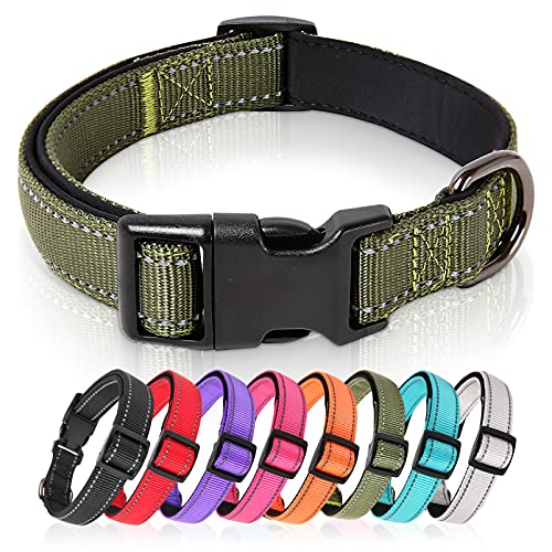 HEELE Hundehalsband, Hundehalsband aus Nylon, Reflektierend Halsband Hund mit Weich Neopren Gepolstert für Welpen Kleine Mittel Große Hunde, Grün, L von HEELE