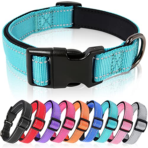 HEELE Hundehalsband, Hundehalsband aus Nylon, Reflektierend Halsband Hund mit Weich Neopren Gepolstert für Welpen Kleine Mittel Große Hunde, Himmelblau, L von HEELE