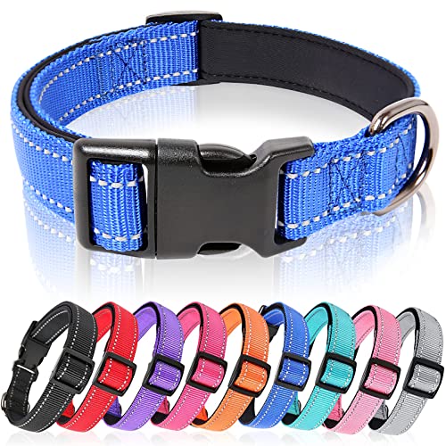 HEELE Hundehalsband, Hundehalsband aus Nylon, Reflektierend Halsband Hund mit Weich Neopren Gepolstert für Welpen Kleine Mittel Große Hunde, Königsblau, M von HEELE