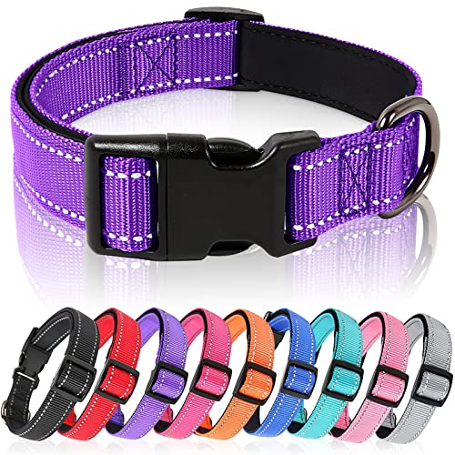 HEELE Hundehalsband, Hundehalsband aus Nylon, Reflektierend Halsband Hund mit Weich Neopren Gepolstert für Welpen Kleine Mittel Große Hunde, Lila, L von HEELE