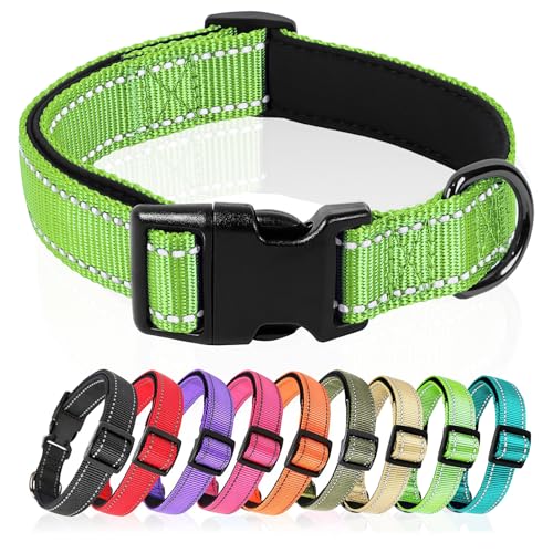 HEELE Hundehalsband, Hundehalsband aus Nylon, Reflektierend Halsband Hund mit Weich Neopren Gepolstert für Welpen Kleine Mittel Große Hunde Läng Einstellbereich 20-30 cm, RasenGrün, XS HEELE Hundehalsband, Hundehalsband aus Nylon, Reflektierend Halsband Hund mit Weich Neopren Gepolstert für Welpen Kleine Mittel Große Hunde Läng Einstellbereich 20-30 cm, RasenGrün, XS von HEELE