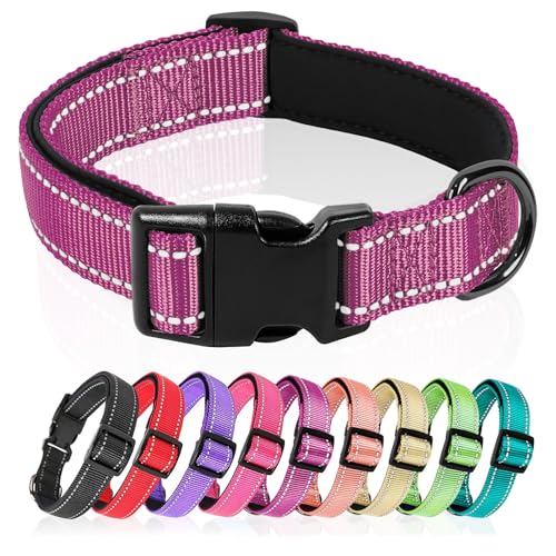 HEELE Hundehalsband, Hundehalsband aus Nylon, Reflektierend Halsband Hund mit Weich Neopren Gepolstert für Welpen Kleine Mittel Große Hunde Läng Einstellbereich 26-38cm, Magentarot, S HEELE Hundehalsband, Hundehalsband aus Nylon, Reflektierend Halsband Hund mit Weich Neopren Gepolstert für Welpen Kleine Mittel Große Hunde Läng Einstellbereich 26-38cm, Magentarot, S von HEELE