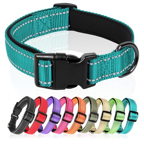 HEELE Hundehalsband, Hundehalsband aus Nylon, Reflektierend Halsband Hund mit Weich Neopren Gepolstert für Welpen Kleine Mittel Große Hunde Läng Einstellbereich 40-66 cm, Türkis, L HEELE Hundehalsband, Hundehalsband aus Nylon, Reflektierend Halsband Hund mit Weich Neopren Gepolstert für Welpen Kleine Mittel Große Hunde Läng Einstellbereich 40-66 cm, Türkis, L von HEELE