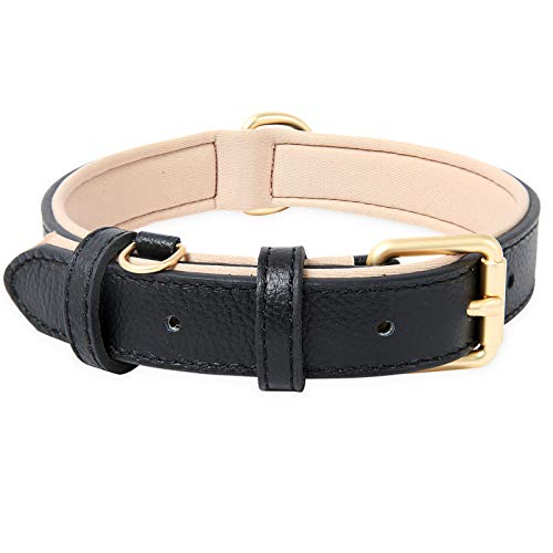 HEELE Hundehalsband, Hundehalsband mit Gepolstert und Echtes Leder, Verstellbar, Halsband für Große Hunde, Schwarz, L von HEELE