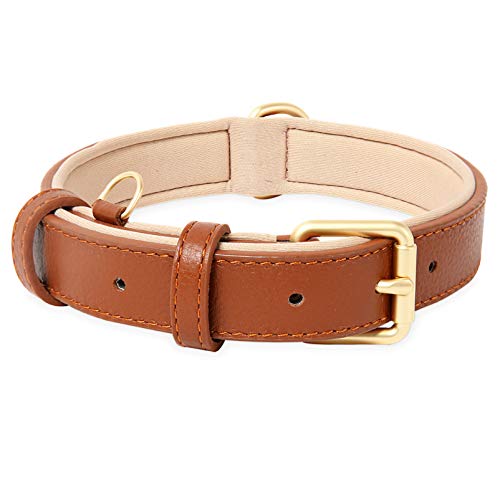 HEELE Hundehalsband, Hundehalsband Leder Hundehalsband mit gepolstert und echtes Leder, Verstellbar, Halsband für Welpen Kleine Mittel Große Hunde, Braun, M HEELE Hundehalsband, Hundehalsband Leder Hundehalsband mit gepolstert und echtes Leder, Verstellbar, Halsband für Welpen Kleine Mittel Große Hunde, Braun, M von HEELE