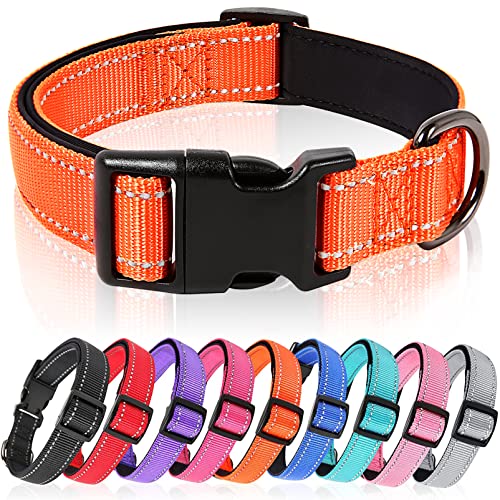 HEELE Hundehalsband, weich gepolstertes Neopren Nylon Hunde Halsband für kleine mittlere große Hunde und Welpen, verstellbare und reflektierende Halsband Hund für Training, Orange, L von HEELE