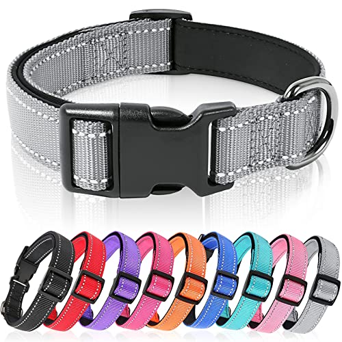 HEELE Hundehalsband, weich gepolstertes Neopren Nylon Hunde Halsband für kleine mittlere große Hunde und Welpen, verstellbare und reflektierende Halsband Hund für Training, Grau, L von HEELE