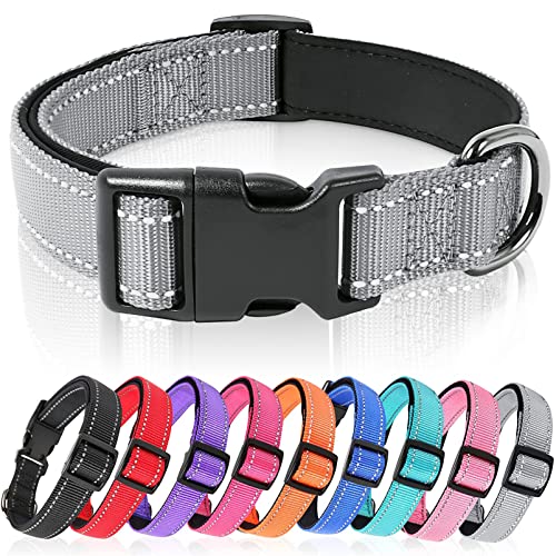 HEELE Hundehalsband, weich gepolstertes Neopren Nylon Hunde Halsband für kleine mittlere große Hunde und Welpen, verstellbare und reflektierende Halsband Hund für Training, Grau, S HEELE Hundehalsband, weich gepolstertes Neopren Nylon Hunde Halsband für kleine mittlere große Hunde und Welpen, verstellbare und reflektierende Halsband Hund für Training, Grau, S von HEELE