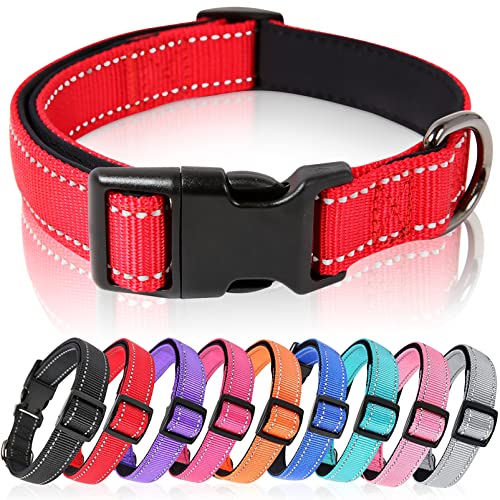 HEELE Hundehalsband, Halsband für kleine Hunde, Hundehalsband aus Nylon, Reflektierend Halsband Hund mit Weich Neopren Gepolstert für Welpen Kleine Hunde, Rot, XS von HEELE