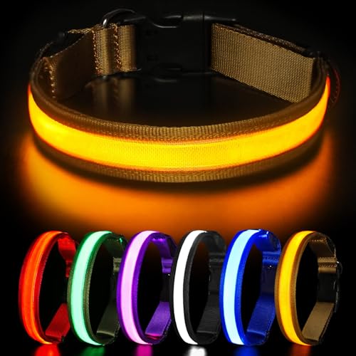 HEELE Hundehalsband Leuchtend, Leuchtend Halsband, Leuchthalsband Type-C Wiederaufladbar, Leuchthalsband Hund Wasserdicht, LED Halsband für Hunde, Hundehalsband mit 3 Beleuchtungsmodi, Braun, L von HEELE