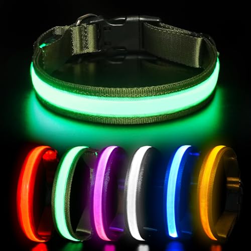 HEELE Hundehalsband Leuchtend, Leuchtend Halsband, Leuchthalsband Type-C Wiederaufladbar, Leuchthalsband Hund Wasserdicht, LED Halsband für Hunde, Hundehalsband mit 3 Beleuchtungsmodi, Grün, S HEELE Hundehalsband Leuchtend, Leuchtend Halsband, Leuchthalsband Type-C Wiederaufladbar, Leuchthalsband Hund Wasserdicht, LED Halsband für Hunde, Hundehalsband mit 3 Beleuchtungsmodi, Grün, S von HEELE