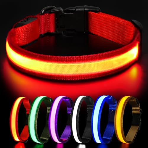HEELE Hundehalsband Leuchtend, Leuchtend Halsband, Leuchthalsband Type-C Wiederaufladbar, Leuchthalsband Hund Wasserdicht, LED Halsband für Hunde, Hundehalsband mit 3 Beleuchtungsmodi, Rot, L HEELE Hundehalsband Leuchtend, Leuchtend Halsband, Leuchthalsband Type-C Wiederaufladbar, Leuchthalsband Hund Wasserdicht, LED Halsband für Hunde, Hundehalsband mit 3 Beleuchtungsmodi, Rot, L von HEELE