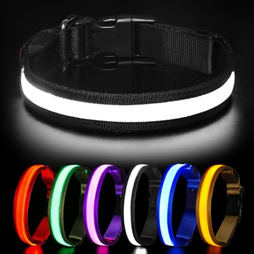 HEELE Hundehalsband Leuchtend, Leuchtend Halsband, Leuchthalsband Type-C Wiederaufladbar, Leuchthalsband Hund Wasserdicht, LED Halsband für Hunde, Hundehalsband mit 3 Beleuchtungsmodi, Schwarz, L HEELE Hundehalsband Leuchtend, Leuchtend Halsband, Leuchthalsband Type-C Wiederaufladbar, Leuchthalsband Hund Wasserdicht, LED Halsband für Hunde, Hundehalsband mit 3 Beleuchtungsmodi, Schwarz, L von HEELE