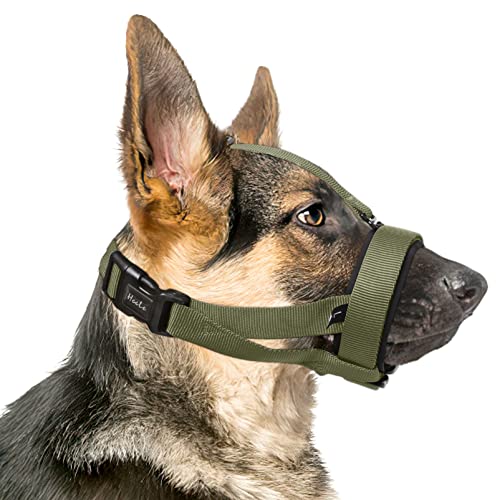 HEELE Maulkorb für Hund mit Kopfriemen HundeMaulkorb Weiche Gepolstert Kein Scheuern mehr HundeMaulkörb Verstellbare Schlaufe Hundemaulkorb Maulkörb Gegen Beißen Maulkorb für Große Hunde, Grün, L HEELE Maulkorb für Hund mit Kopfriemen HundeMaulkorb Weiche Gepolstert Kein Scheuern mehr HundeMaulkörb Verstellbare Schlaufe Hundemaulkorb Maulkörb Gegen Beißen Maulkorb für Große Hunde, Grün, L von HEELE