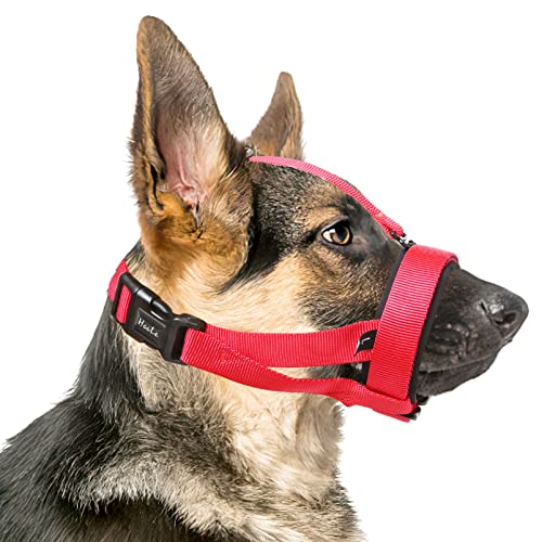 HEELE Maulkörb für Hunde Weiche Gepolstert Verstellbare Schlaufe Hundemaulkorb Training, Maulkorb aus Nylon Verhindert das Beißen Kauen und Bellen, Rot, S HEELE Maulkörb für Hunde Weiche Gepolstert Verstellbare Schlaufe Hundemaulkorb Training, Maulkorb aus Nylon Verhindert das Beißen Kauen und Bellen, Rot, S von HEELE