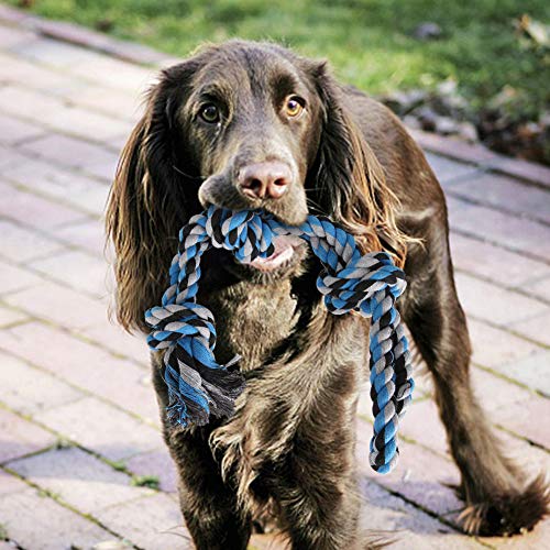 1 Stück Beißfest, Geeignet Zum Spielen Im Freien, Lindert Spannungen, Beißfestes Baumwollseil-Knotenspielzeug für Hunde, Stark, Zäh, Zahnreinigung, Interaktives Training, 1 Stück Beißfest, Geeignet Zum Spielen Im Freien, Lindert Spannungen, Beißfestes Baumwollseil-Knotenspielzeug für Hunde, Stark, Zäh, Zahnreinigung, Interaktives Training, von HEEPDD