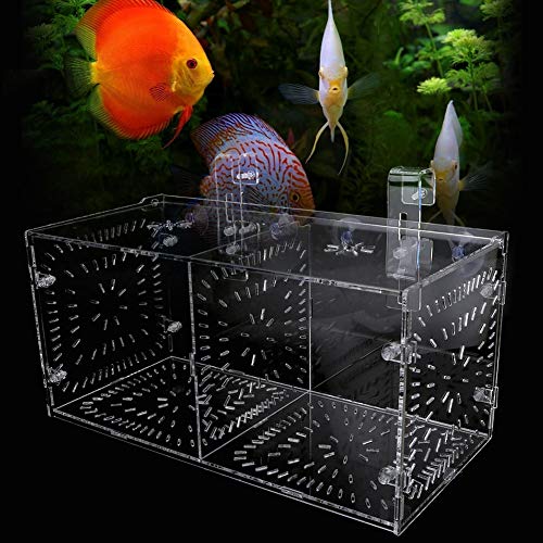 Aquarium-Zuchtbox, Aquarium-Inkubationsbox, Zuchtfischtank für Aquarienfische (30CM*15CM*15CM) von HEEPDD