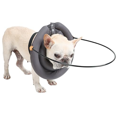 Blindenhundegeschirr-Führungsgerät, Blindenhundegeschirr, Haustierhalsband für Blinde und Sehbehinderte Hunde, Hilft Blinden Hunden, Kollisionen zu Vermeiden und Vertrauen (XL) von HEEPDD