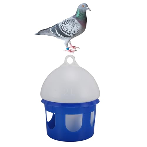 Farm Bird Wassertränke Spender Wachteln Automatische Futterspender Taube Große Kapazität Auslaufsicher Futterspender für Zuhause Farm Bird Wassertränke Spender Wachteln Automatische Futterspender Taube Große Kapazität Auslaufsicher Futterspender für Zuhause von HEEPDD
