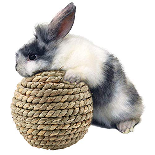 Grass Straw Ball, Haustier Spielzeug Papagei Nagen Bälle Kaninchen Fuß Spielzeug für Zahngesundheit Käfig Zubehör Grass Straw Ball, Haustier Spielzeug Papagei Nagen Bälle Kaninchen Fuß Spielzeug für Zahngesundheit Käfig Zubehör von HEEPDD