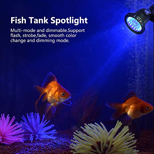 HEEPDD 100-240V Aquarium Strahler RGB Aquarium Strahler Gartenteich für Aquarium (Einer für Zwei mit Fernbedienung EU-Stecker) von HEEPDD