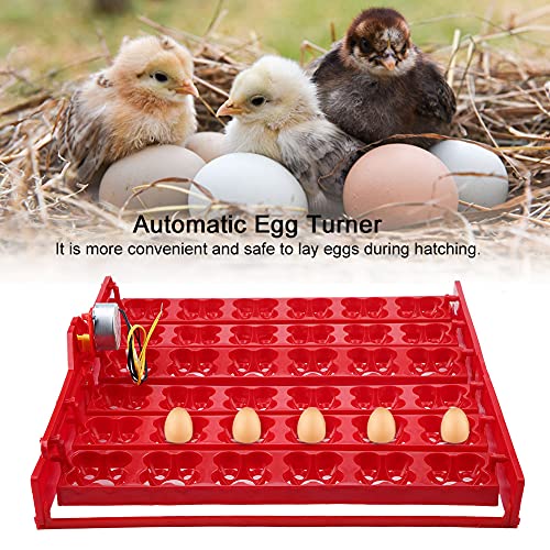 HEEPDD 36 Eier Eierinkubator 220V Motor Eierinkubator Vogelinkubator Brüterei Eierstreifen für Vögel (220-V-Motor) von HEEPDD