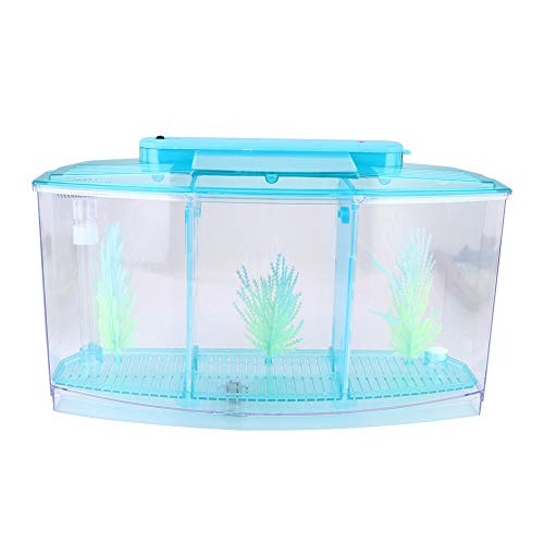 HEEPDD Acryl Aquarium Isolation Box, Mini Aquarium Zucht Brutstätte Small Fishes Inkubator mit DREI Abteilungen und LED-Licht(Blau) von HEEPDD