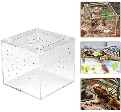 HEEPDD Acrylic Reptile Breeding Box Transparente Aufbewahrung Box für Lebendfutter Insekten für Spinnen Grillen Schnecken Einsiedlerkrebse Vogel Spinnen Geckos 3.9x3.9x3.5inch von HEEPDD