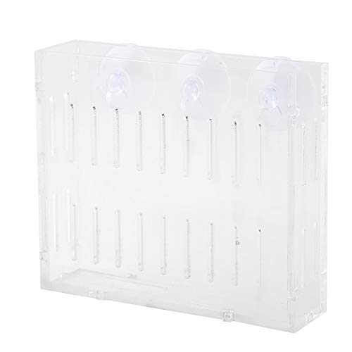 Aquarium Live Plant Cup, Aquarium Acryl Wasserpflanzen Pflanzbecher Pflanzen Anbau Regal mit Saugnäpfen für Aquarium Aquarium Aquarium Live Plant Cup, Aquarium Acryl Wasserpflanzen Pflanzbecher Pflanzen Anbau Regal mit Saugnäpfen für Aquarium Aquarium von HEEPDD