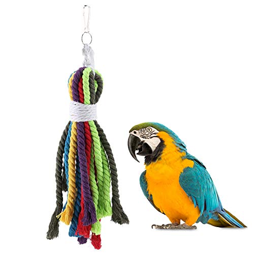HEEPDD Buntes Seil Spielzeug des Papageien natürlichen Baumwollputzens pflegende Seile Vogel, der beißende Spielwaren Käfig Zubehör für Amazons afrikanische graue Kakadus Conure Lovebird Lory kaut HEEPDD Buntes Seil Spielzeug des Papageien natürlichen Baumwollputzens pflegende Seile Vogel, der beißende Spielwaren Käfig Zubehör für Amazons afrikanische graue Kakadus Conure Lovebird Lory kaut von HEEPDD