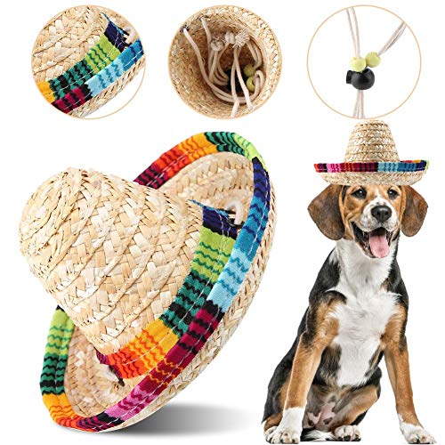 Hund Hut,Haustier Strohhut, Hund Katze Mini Stroh mexikanischen Sombrero Stroh geflochtene Sonnenhut mit Baumwolle Seil Anpassung für Hunde Welpen Katzen Kitty Kätzchen von HEEPDD