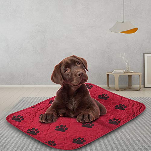 HEEPDD Hunde-PIPI-Pad, Wiederverwendbare Hunde-Urin-Matte, 4-lagiges Design-Welpen-Pad, für Hunde (40 * 60cm) von HEEPDD