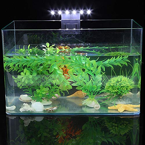 HEEPDD LED-Aquarium-Licht, wasserdichte Clip-on-Lampe für Aquarien, Energiesparende Pflanzen-Wachstumsbeleuchtung von HEEPDD