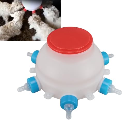HEEPDD Lamm-Futterstation, Haustier-Flaschen-Set für Neugeborene Kätzchen, Welpen, Kaninchen, Ferkel-Lamm, Kleintiere, Ersatz-Sauger, Katzen-Flasche, Fütterungswerkzeug, Milchflaschen HEEPDD Lamm-Futterstation, Haustier-Flaschen-Set für Neugeborene Kätzchen, Welpen, Kaninchen, Ferkel-Lamm, Kleintiere, Ersatz-Sauger, Katzen-Flasche, Fütterungswerkzeug, Milchflaschen von HEEPDD