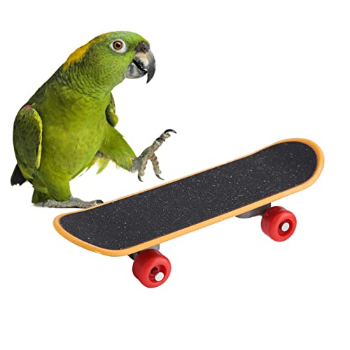 HEEPDD Papagei Skateboard Spielzeug, Vögel Porrat Stander Vogel Lustige Ausbildung Spielen Interaktives Spielzeug Nymphensittiche Bildungsstand Spielzeug für Vögel Papageien Kleine Conures Spielzeug von HEEPDD