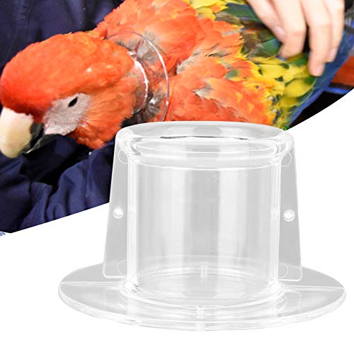 Papageienhalsband, Vogelhalsschutzhalsband, Wundheilungshalsband für Papageien, für den Papageienhaushalt (L Außendurchmesser 9,5 Innendurchmesser 4,5) von HEEPDD