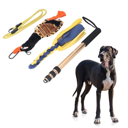 HEEPDD Teleskopischer Hunde-Teaser-Stick, 52 Zoll, Flirtstange mit Trainingsgerät für Muskeltraining, Gehhilfe, Lustige Interaktionen von HEEPDD