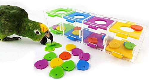 HEEPDD Vogel-Intelligenz-Trainingsspielzeug, interaktives Puzzlespielspielzeug mit Farbseparations-Münzbox für Papagei-Hamster-Macaw-Afrikaner-Grau-Sittich Spielzeug von HEEPDD