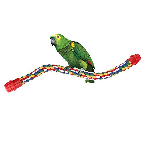 Vogel-Kletterseil Papageien-Spielzeug Bunter Vogel-Fuß-Rahmen FüR Papageien-Vogel-Kletterseil von HEEPDD