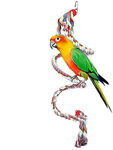 Vogel Seil Stander, 63-Zoll-Papageienschaukel Kletterspirale Stehspielzeug Entwickelt die Koordination und das Gleichgewicht von Vögeln für große und mittelgroße Papageien Spielzeug von HEEPDD