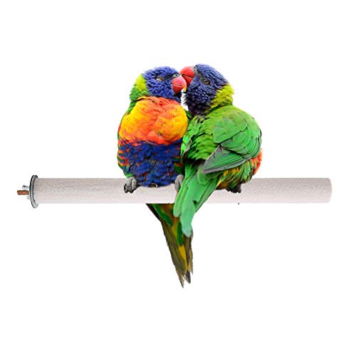 Vogel Stand, Papagei Holz Stehen Schleifwerkzeug Haustiere Spielzeug für alle Vogel Zubehör [2,5 x 30 cm] Sitzstangen von HEEPDD