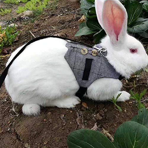 Kaninchenkleidung Atmungsaktives Kaninchengeschirr Haustiere für Kaninchen Tiere Vögel (L) von HEEPDD