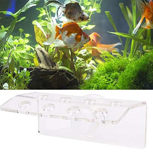 Korallenhalterung, Acryl-Aquarium-Knopfhalter, für Aquarien (8 Löcher) von HEEPDD