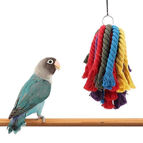 Papagei Spielzeug, Bunte Baumwollseil Vogel Kauen Hängen Spielzeug Käfig Zubehör für Macaw African Grey Kakadu Wellensittiche Parakeet Cockatiel Lovebird Papagei Spielzeug, Bunte Baumwollseil Vogel Kauen Hängen Spielzeug Käfig Zubehör für Macaw African Grey Kakadu Wellensittiche Parakeet Cockatiel Lovebird von HEEPDD