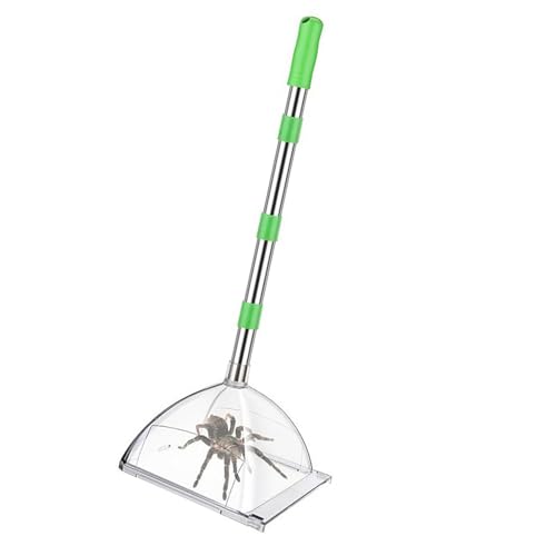 Tragbarer Spinnenfänger aus Edelstahl für den Innen- und Außenbereich, mit 81,3 cm ausziehbarem Griff, Edelstahl-Spinnen mit verstellbarem Griff Tragbarer Spinnenfänger aus Edelstahl für den Innen- und Außenbereich, mit 81,3 cm ausziehbarem Griff, Edelstahl-Spinnen mit verstellbarem Griff von HEEZOU