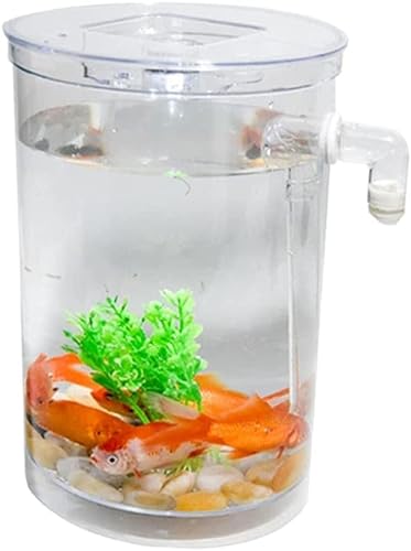 HEIMP Fish Bowls Creative Desktop Transparenter Kunststoff Betta Aquarium Zierfisch Tank Aquarium Büro Heimtextilien Fische & Aquarien Fischtank von HEIMP