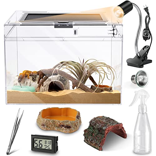 Reptilien-PC-Glas-Terrarium, bruchsicher, 38,1 x 20,3 x 24,6 cm, Amphibien-Tank-Starter-Kits, obere Schiebetür, Belüftung, Mini-Lebensraumkäfige, Hygrometer-Thermometer, Versteckhöhle, Reben, Pinzette von HELIME