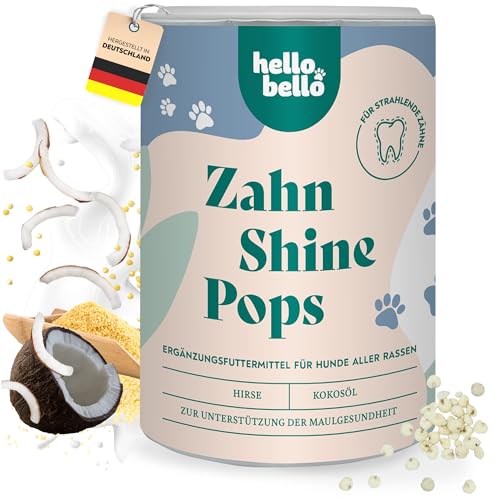 HELLOBELLO kaltgepresste Zahn Shine Pops für Hunde 200g für strahlende Zähne & gegen Mundgeruch - Mit Hirse, Kokosöl & Kokosmehl - Zahnsteinentferner Hund, Hunde Zahnpflege, Hund Zähne Snack von HELLOBELLO