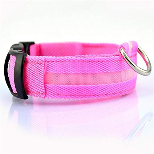 HELLOYOUNG CW001 Nylon Pet Dog Collar LED Light Night Safety Light-up Flashing Glow in The Dark Cat Collar LED Dog Collars for Small Dogs (Pink) von HELLOYOUNG